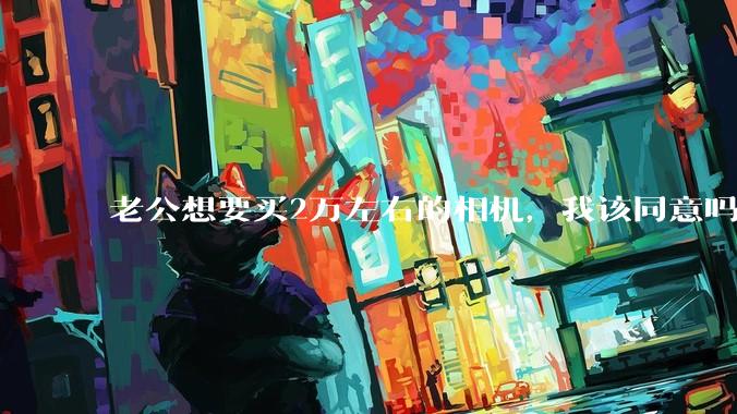 老公想要买2万左右的相机，我该同意吗？